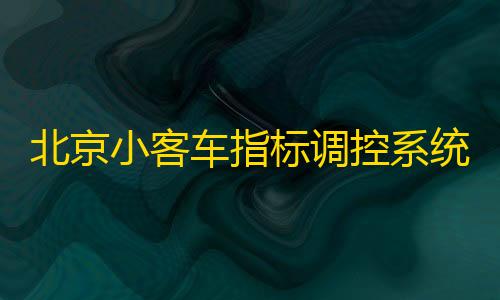 24. cc攻击防护云服务器北京小客车指标调控系统发布申请资格复核流程说明