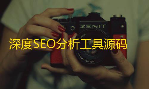 香港VPS深度SEO分析工具源码Turbo Website Reviewer